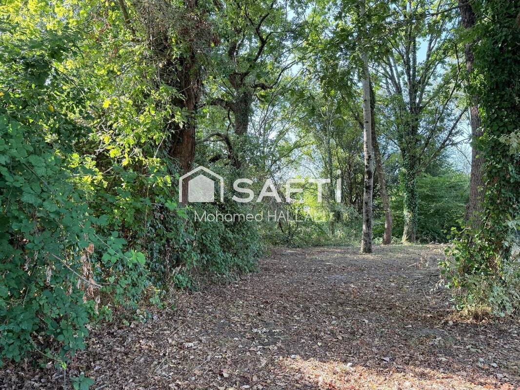 Photo 1 - Terrain à SANGUINET