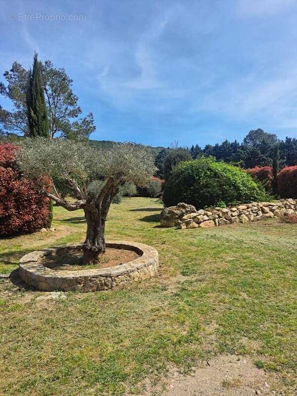 Photo 3 - Maison à LORGUES
