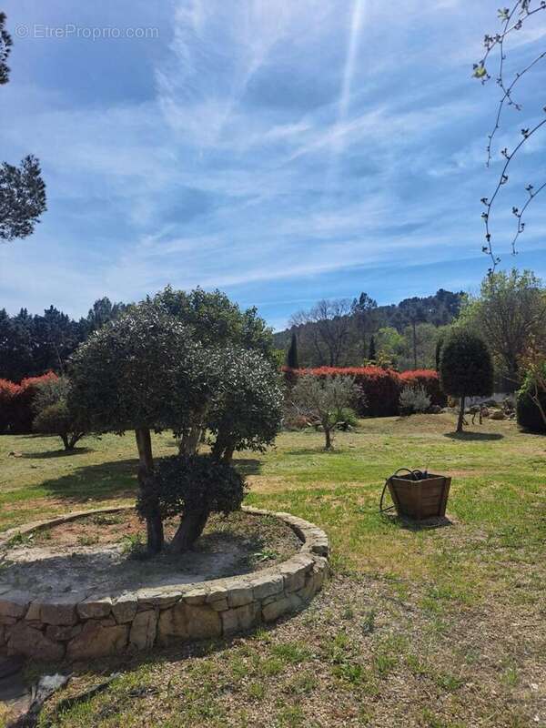 Photo 5 - Maison à LORGUES