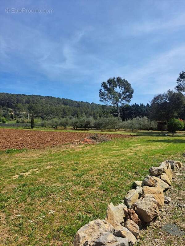 Photo 6 - Maison à LORGUES