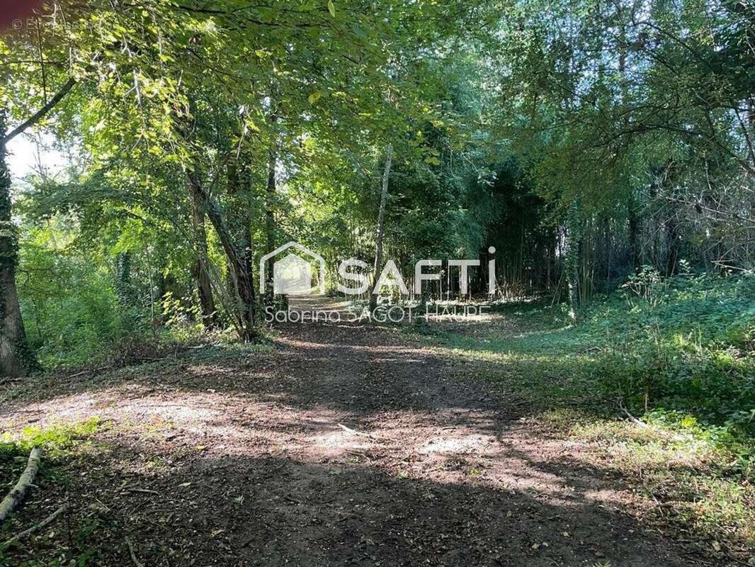 Photo 7 - Maison à MARMAGNE