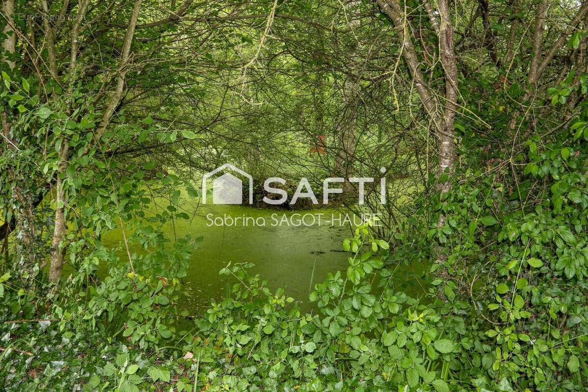 Photo 8 - Maison à MARMAGNE