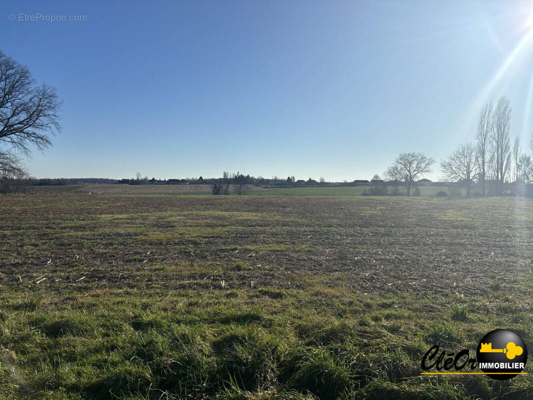 Terrain à SAINT-MARTIN-EN-BRESSE