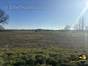 Terrain à SAINT-MARTIN-EN-BRESSE
