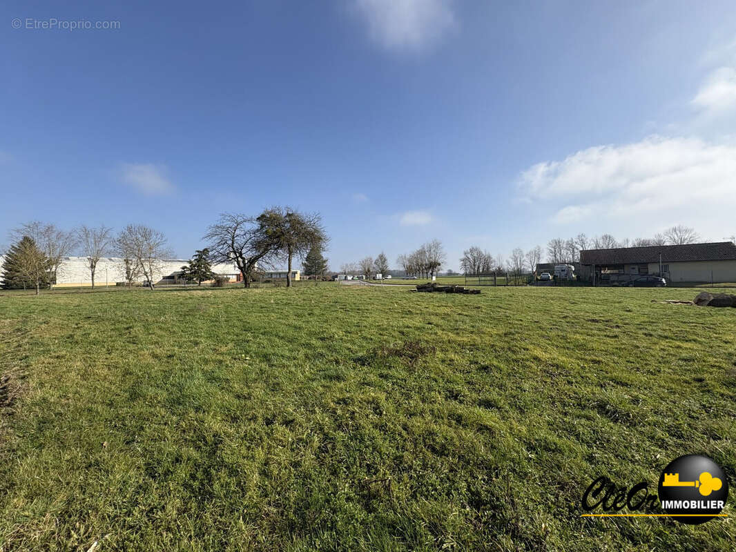 Terrain à MONTPONT-EN-BRESSE