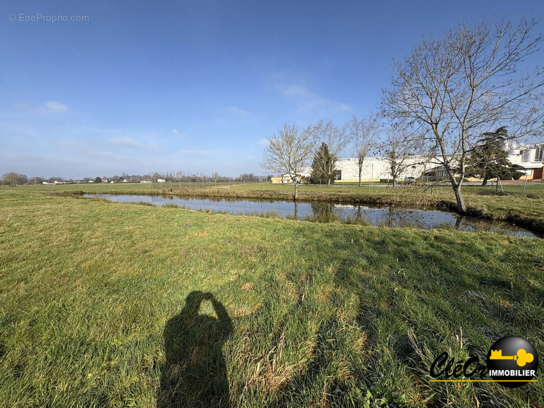 Terrain à MONTPONT-EN-BRESSE