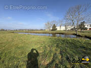 Terrain à MONTPONT-EN-BRESSE