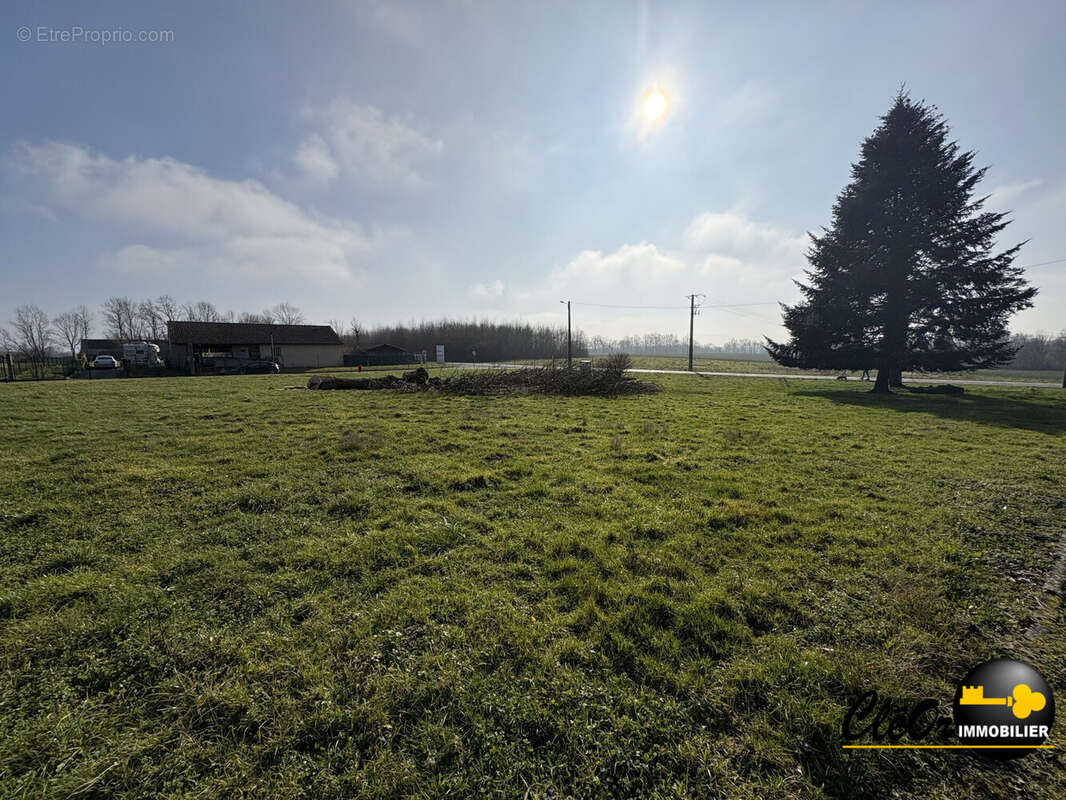 Terrain à MONTPONT-EN-BRESSE
