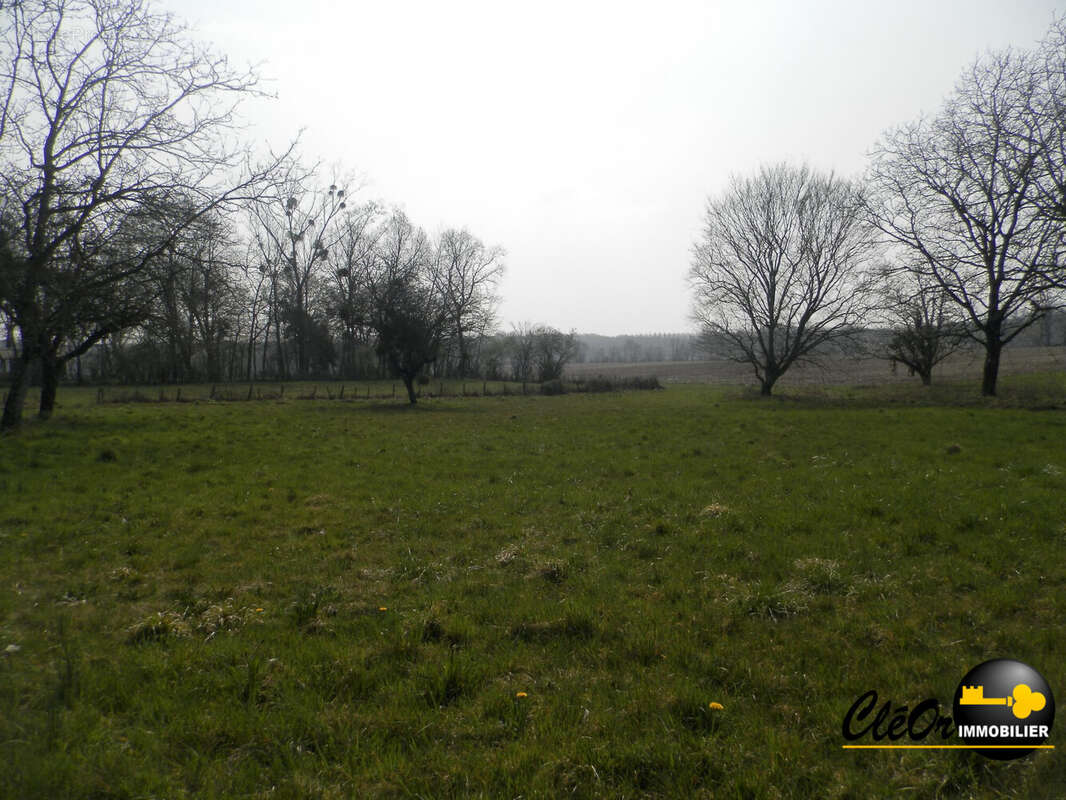 Terrain à SAINT-VINCENT-EN-BRESSE