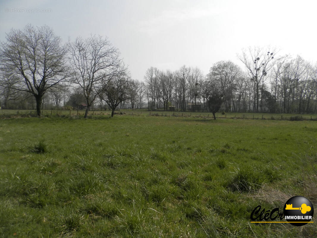 Terrain à SAINT-VINCENT-EN-BRESSE