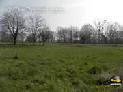 Terrain à SAINT-VINCENT-EN-BRESSE