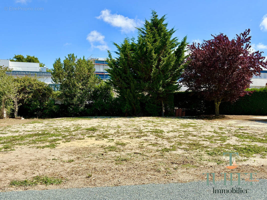 Terrain à LA TREMBLADE