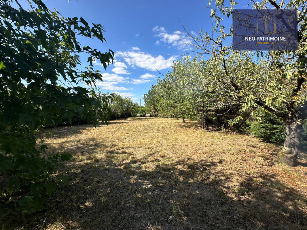 Terrain à PINS-JUSTARET