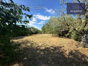 Terrain à PINS-JUSTARET