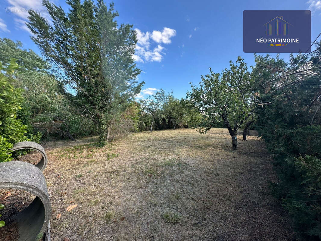 Terrain à PINS-JUSTARET