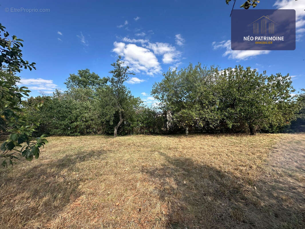 Terrain à PINS-JUSTARET