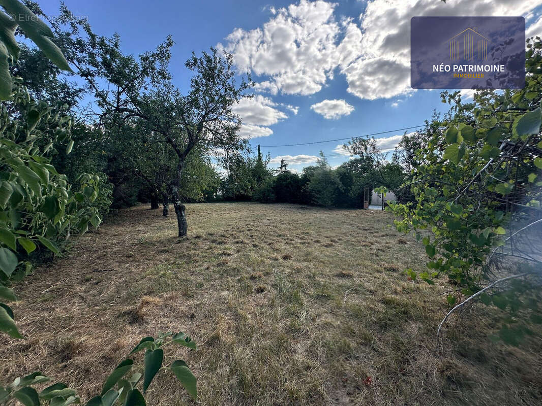 Terrain à PINS-JUSTARET