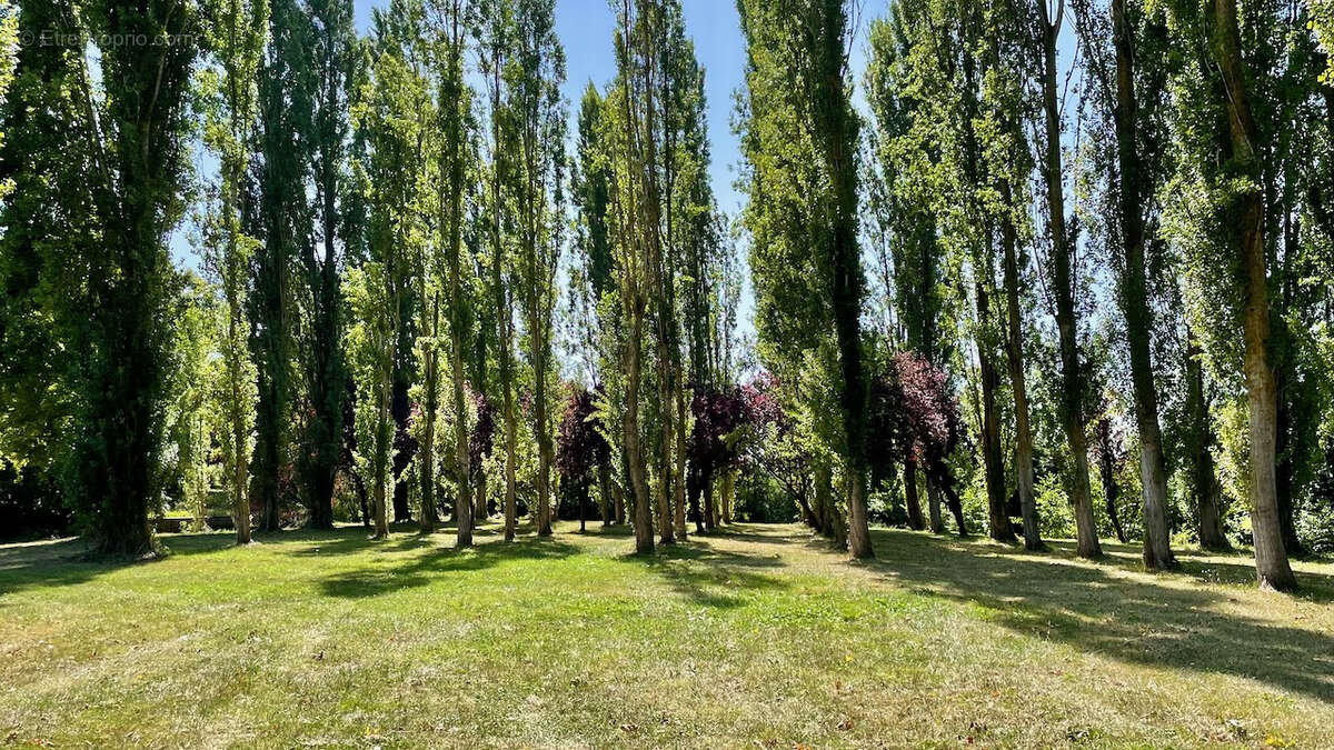 Maison à LES ESSARTS