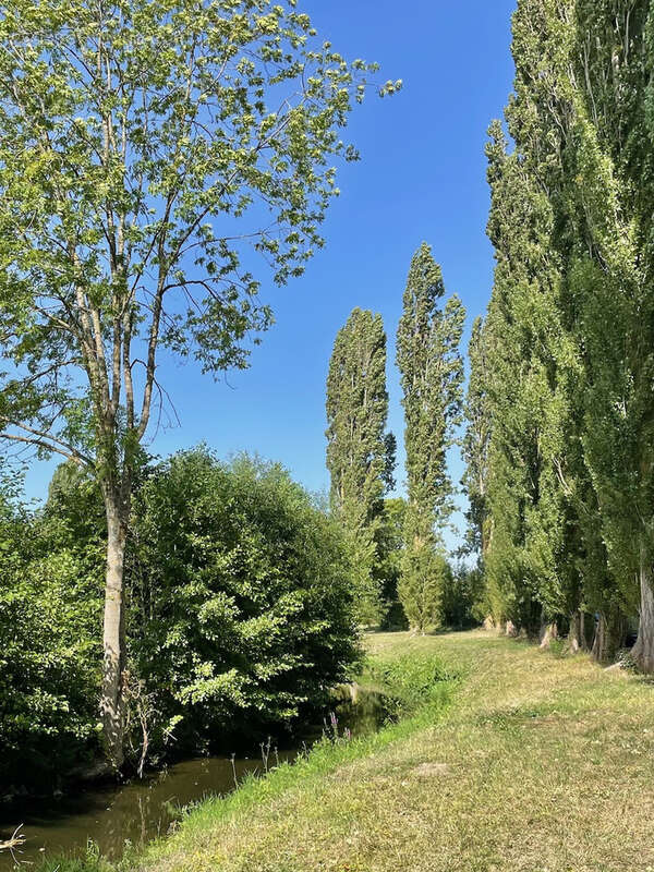 Maison à LES ESSARTS