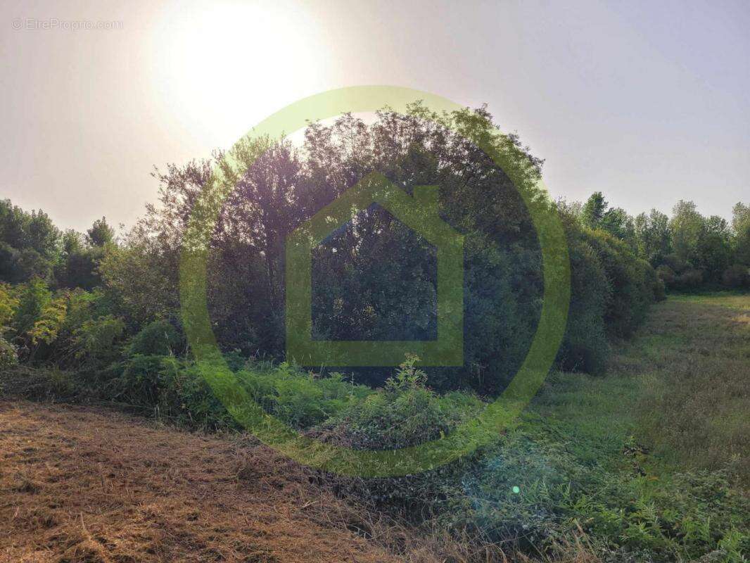 Terrain à SAINT-SORLIN-DE-CONAC