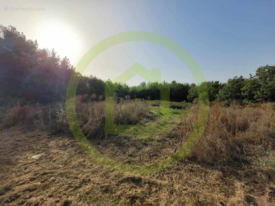 Terrain à SAINT-SORLIN-DE-CONAC