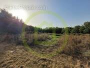 Terrain à SAINT-SORLIN-DE-CONAC