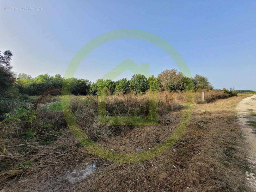 Terrain à SAINT-SORLIN-DE-CONAC