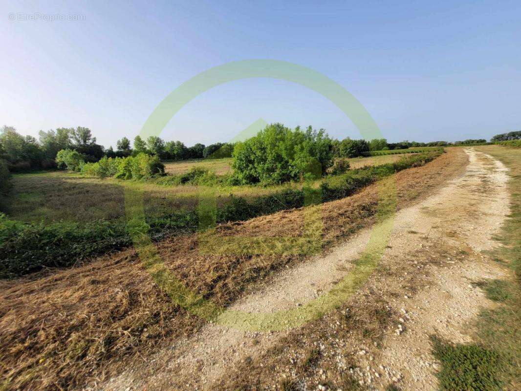 Terrain à SAINT-SORLIN-DE-CONAC
