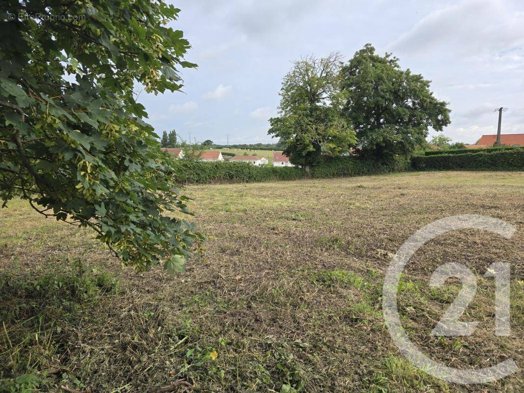 Terrain à VERLINCTHUN