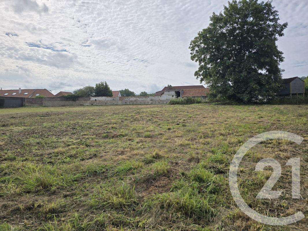 Terrain à VERLINCTHUN