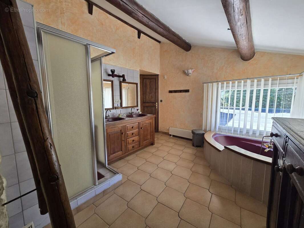 Salle de bains et douche 2, Attenante à la chambre, premier niveau - Maison à BEDARRIDES