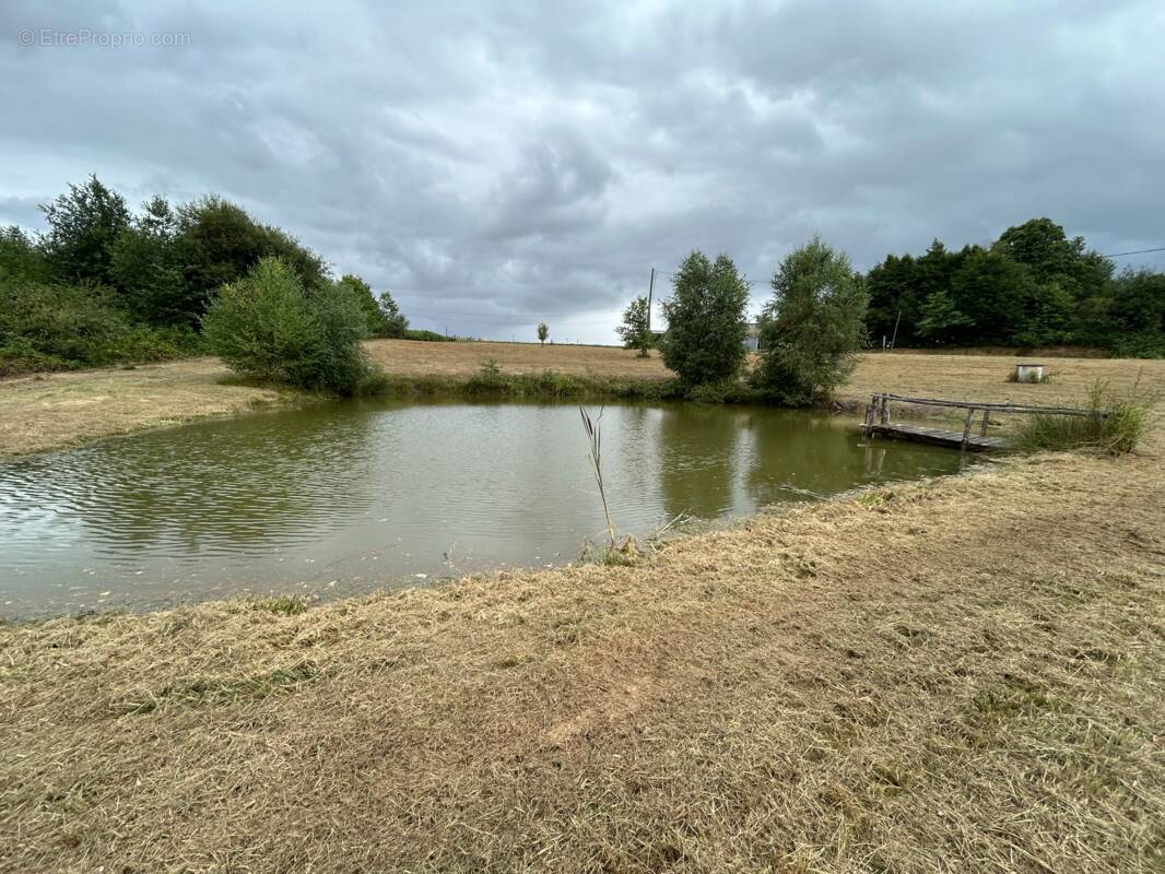 Terrain à SEGUR-LE-CHATEAU