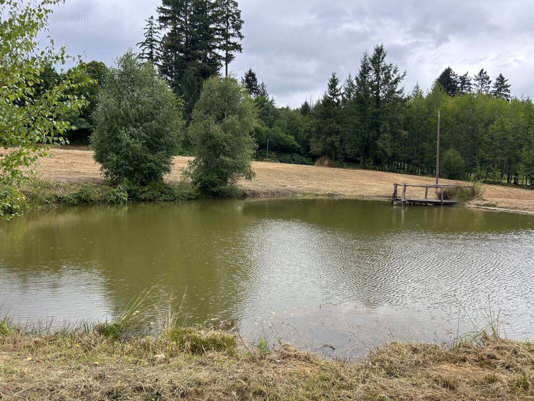 Terrain à SEGUR-LE-CHATEAU