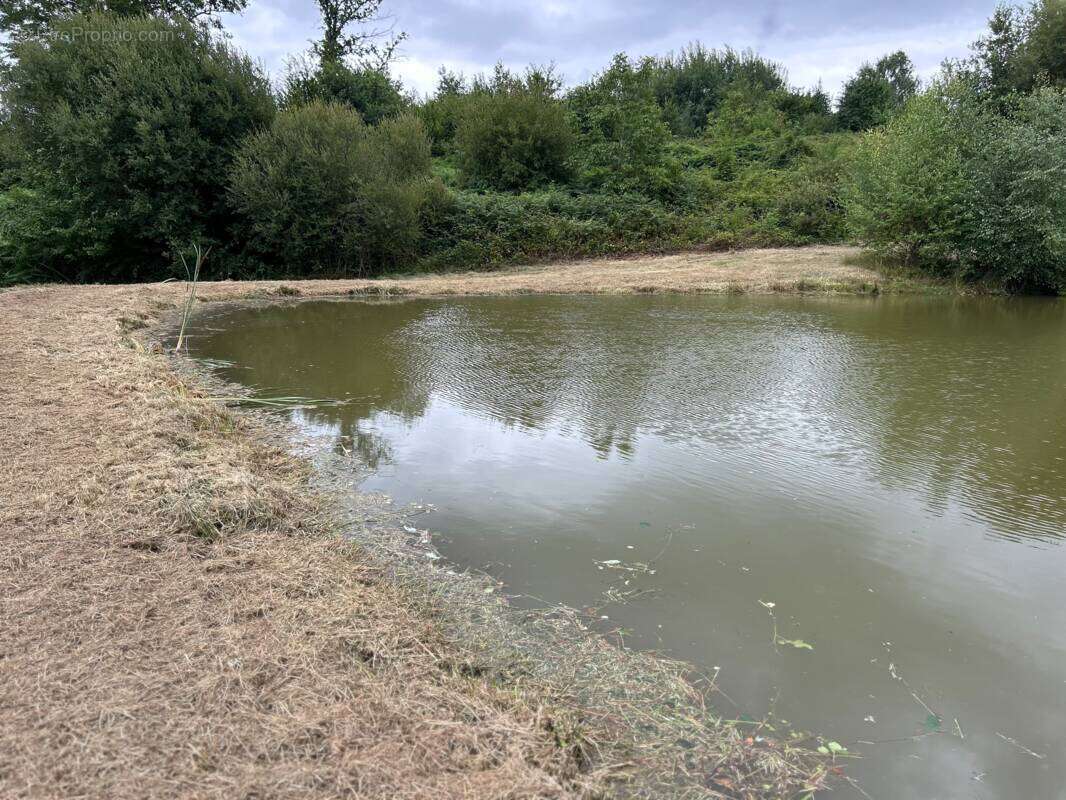 Terrain à SEGUR-LE-CHATEAU