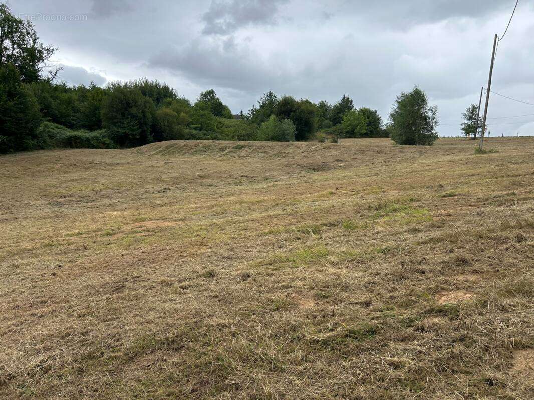 Terrain à SEGUR-LE-CHATEAU