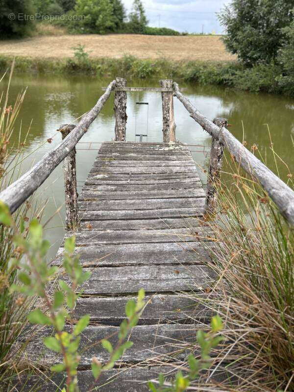 Terrain à SEGUR-LE-CHATEAU
