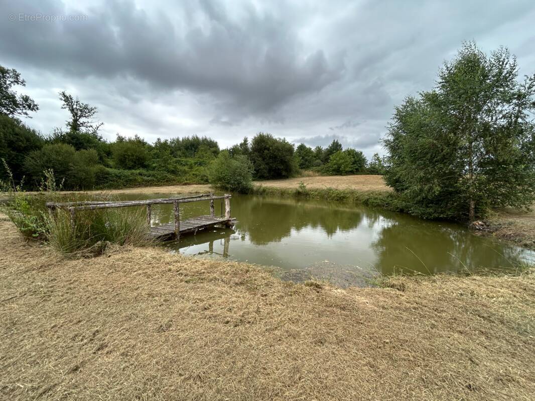 Terrain à SEGUR-LE-CHATEAU
