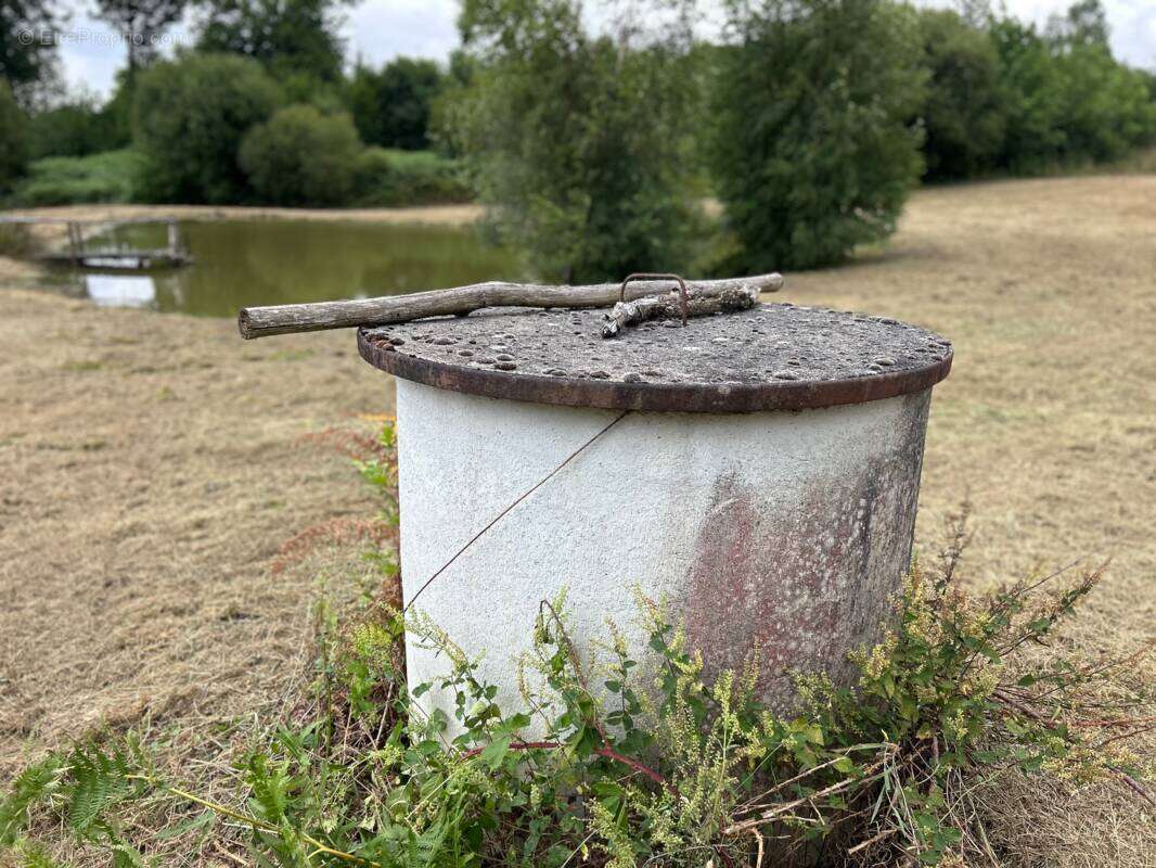 Terrain à SEGUR-LE-CHATEAU