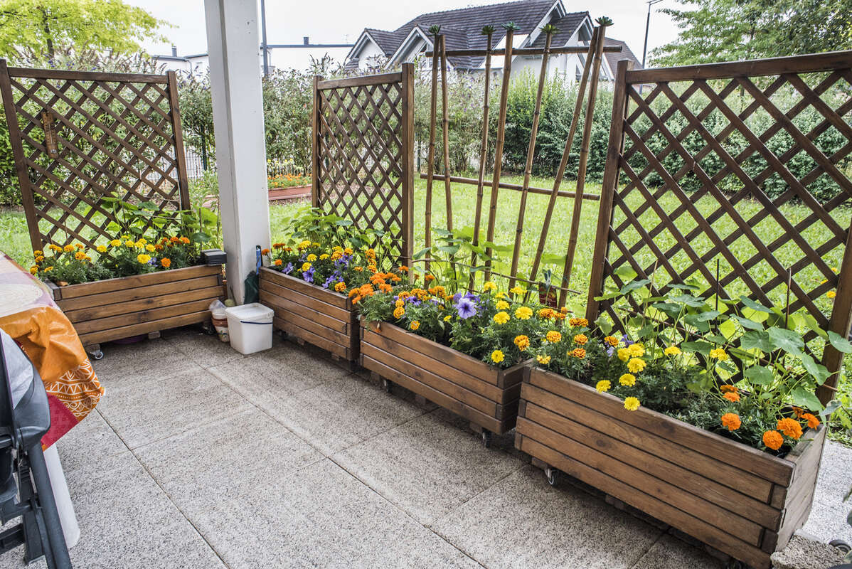 Appartement à DRUSENHEIM