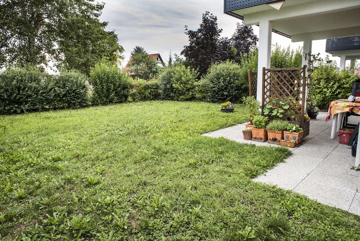 Appartement à DRUSENHEIM