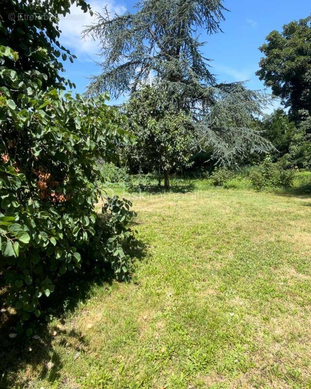 Terrain à STAFFELFELDEN