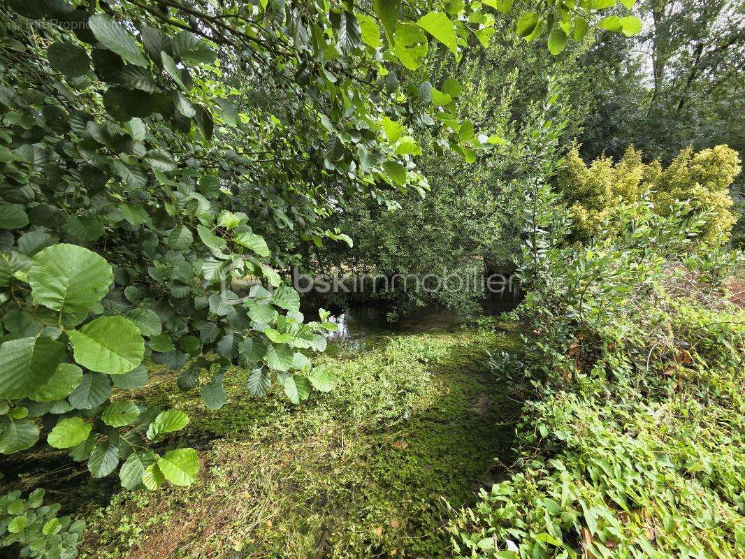 Maison à CHEF-BOUTONNE