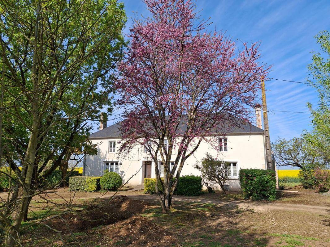 Maison à MOUZEUIL-SAINT-MARTIN