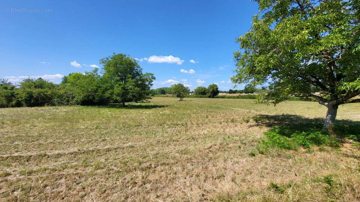 Terrain à SAINT-FRONT-DE-PRADOUX