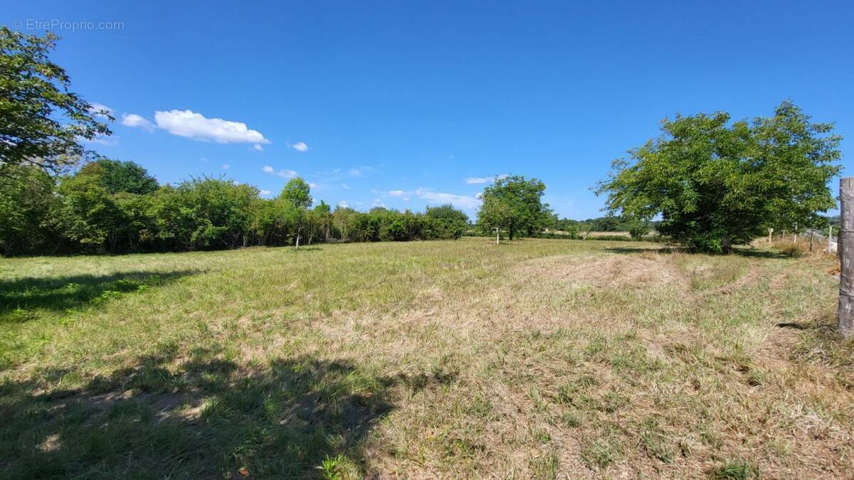 Terrain à SAINT-FRONT-DE-PRADOUX