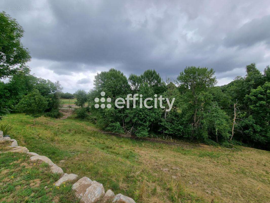 Maison à LE MALZIEU-FORAIN