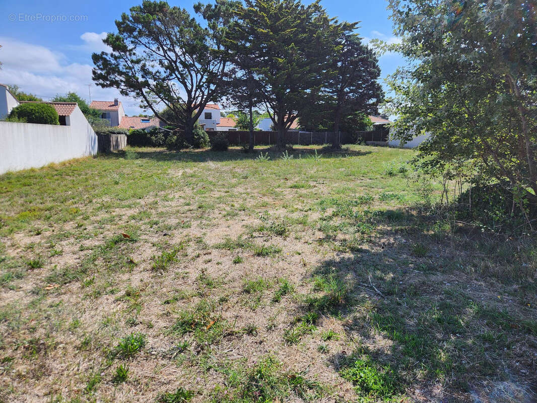 Terrain à SAINT-HILAIRE-DE-RIEZ