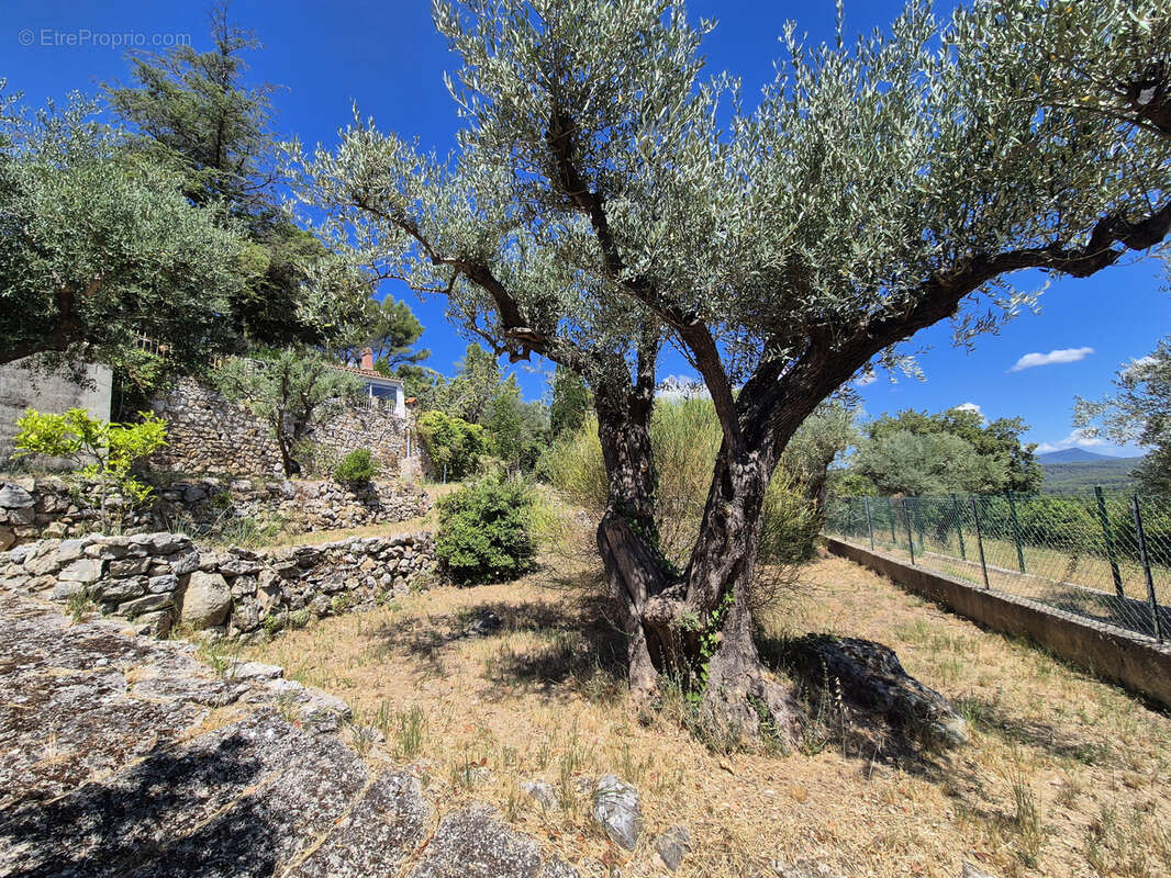 Maison à SOLLIES-VILLE