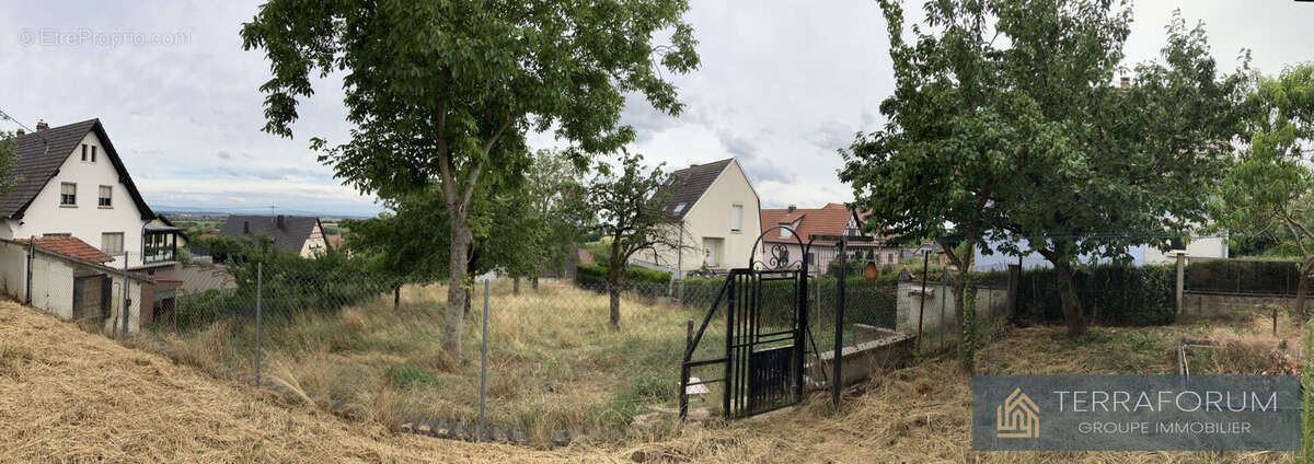 Terrain à DURNINGEN