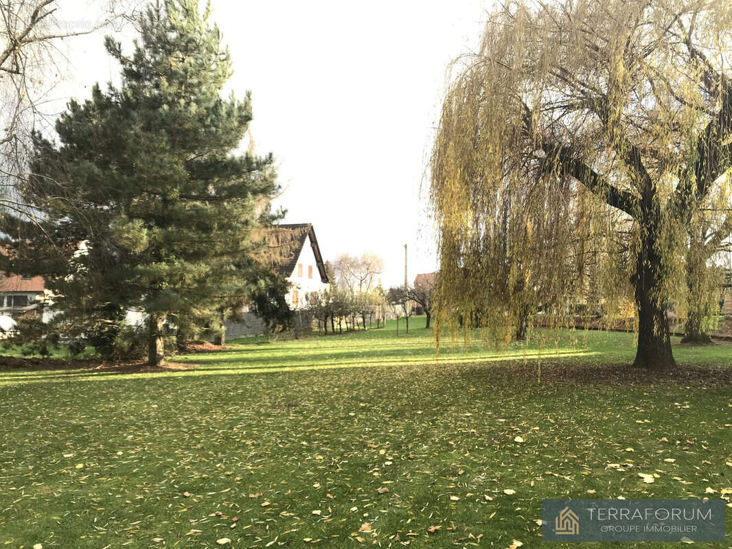 Terrain à SCHNERSHEIM